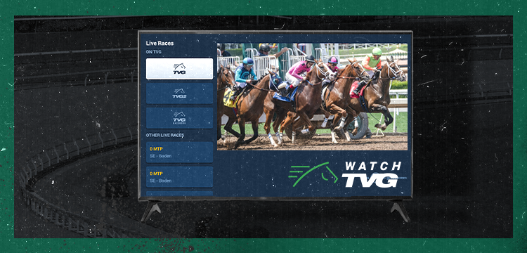 Promotional badge for BCBC