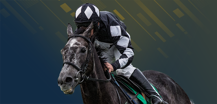 Checker Jockey Bonus Bet