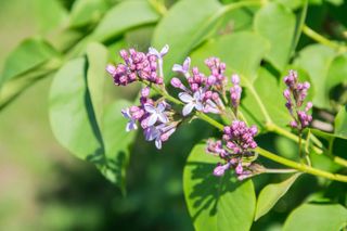4 Ways to Incorporate Spring In Your Marketing Strategy