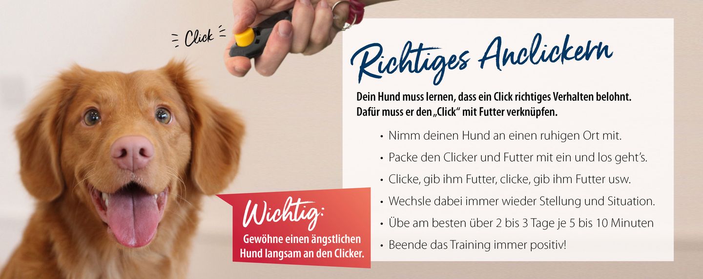 hd_klickern