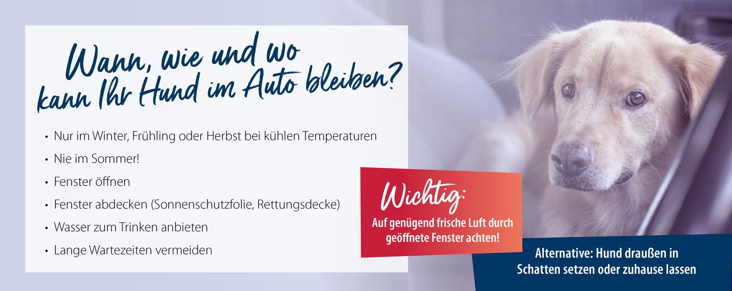 hd_hitzschlag_auto2