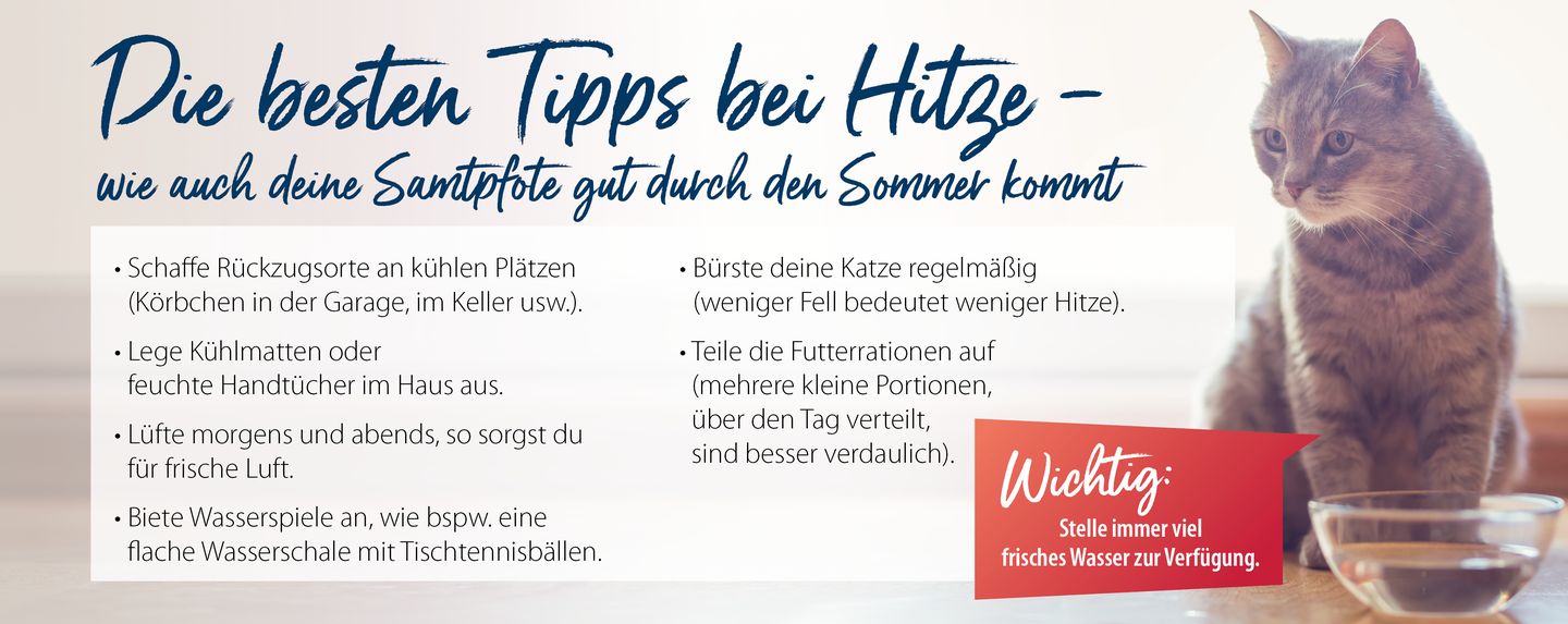 hc tipps bei hitze