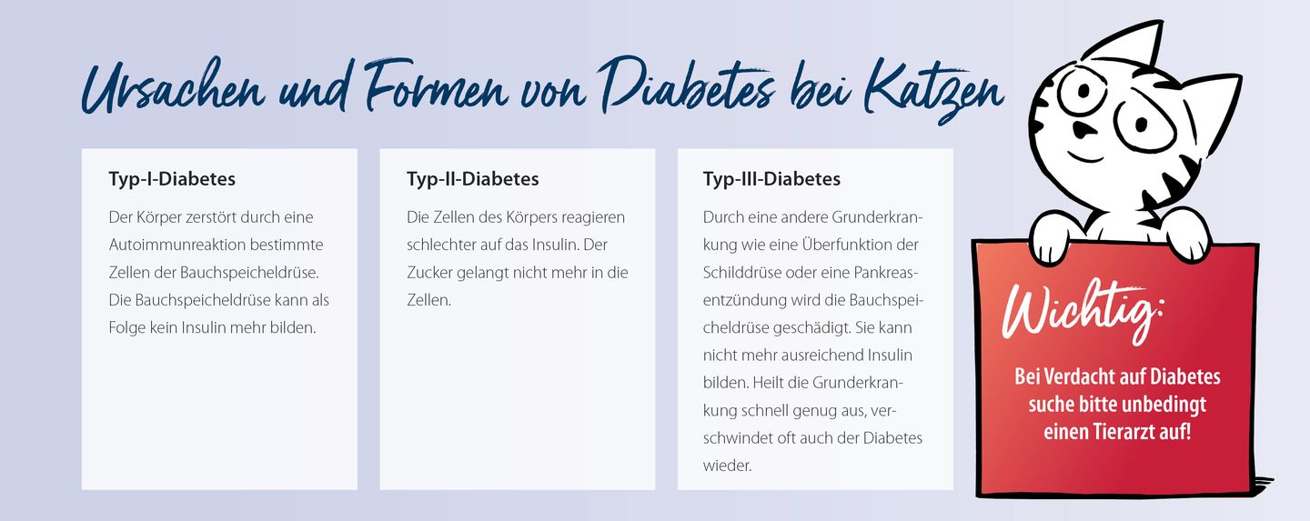 csm_happy cat ratgeber katzengesundheit katzen diabetes infografik formen diabetes katze