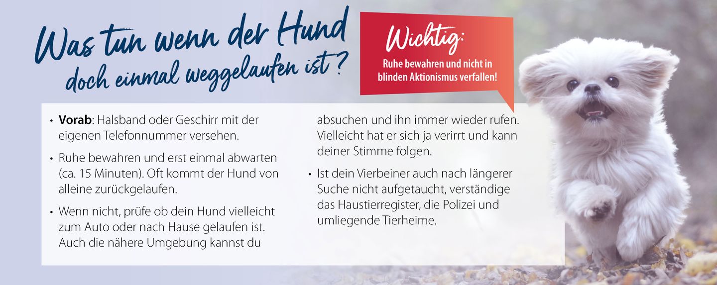 hd_hundweggelaufen