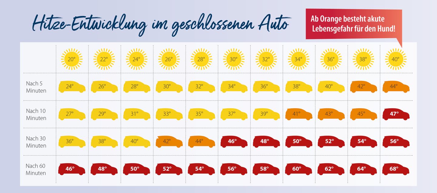 hd_auto_hitze