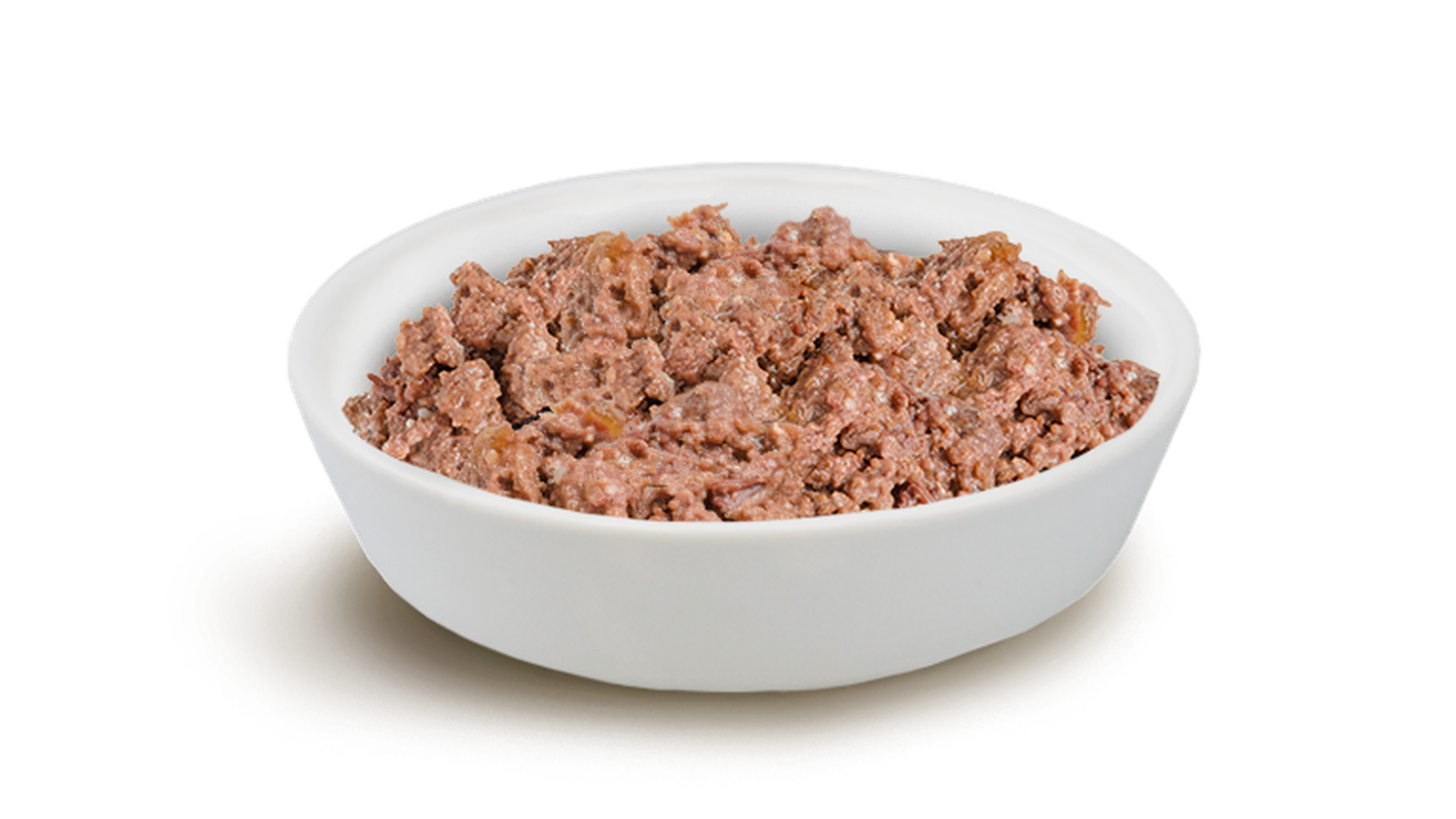 Nassfutter Hund