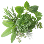 verschiedene Kraeuter