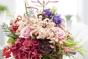 Bloemen arrangement, bloemen, chrysanten, roos, lisianthus, hortensia, nerine, eistoma, bloemsierkunst, botanische stock fotografie