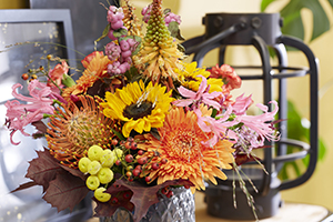 Bloemen arrangement, zonnebloem, gerbera, leucospermum, nerine, kniphofia, boeket, botanische stock fotografie