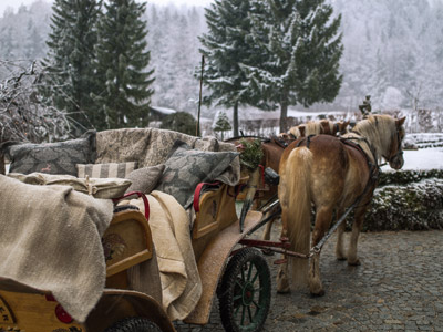 Weihnachten im Mühlviertel