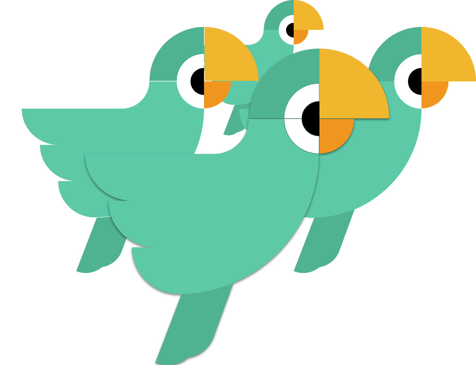 MemBirds