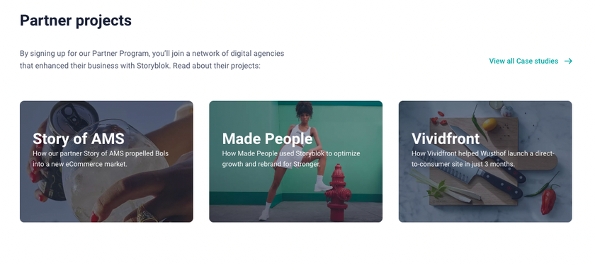 Preview of Storyblok's Partner Case Studies
