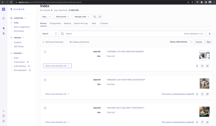 Algolia user dashboard
