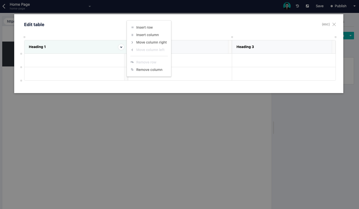 Storyblok editing capabilities