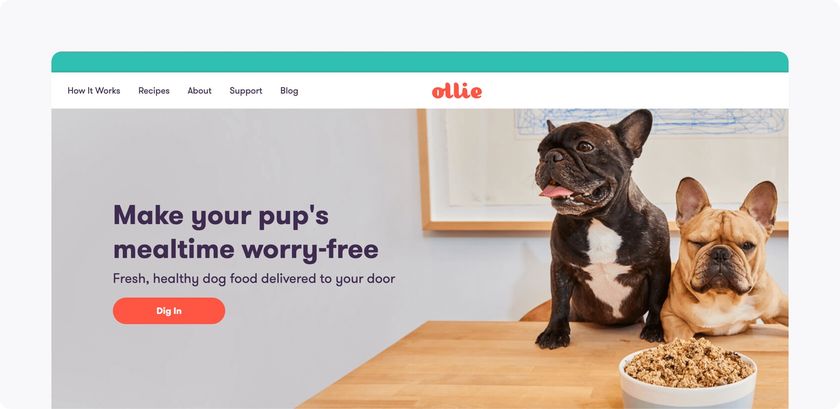 Screenshot of Ollie’s website in March 2020