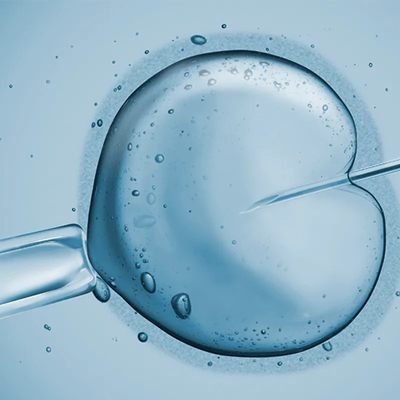 Artificial Insemination For Lesbian Couples TFP