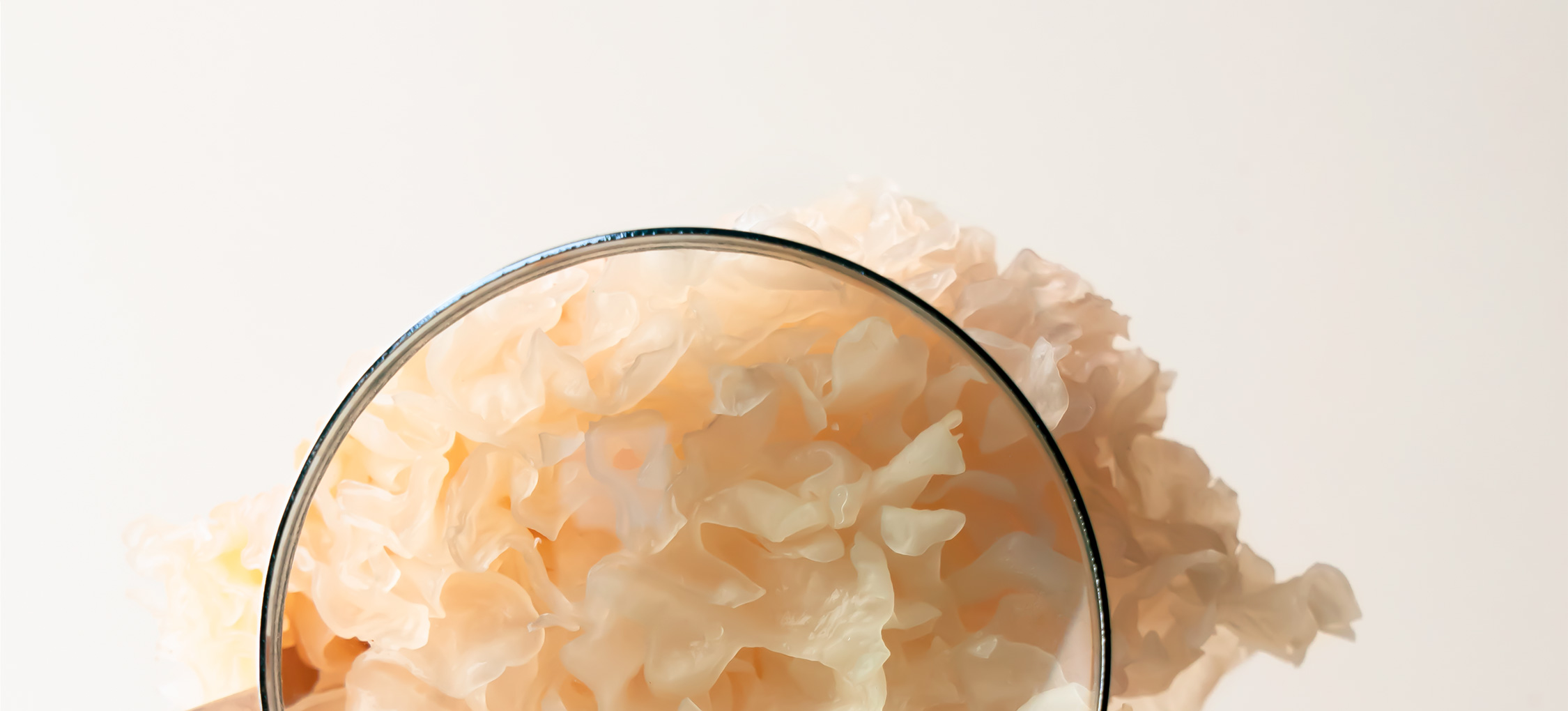 hydration routine — Typology