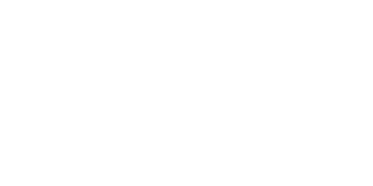 SYNT 