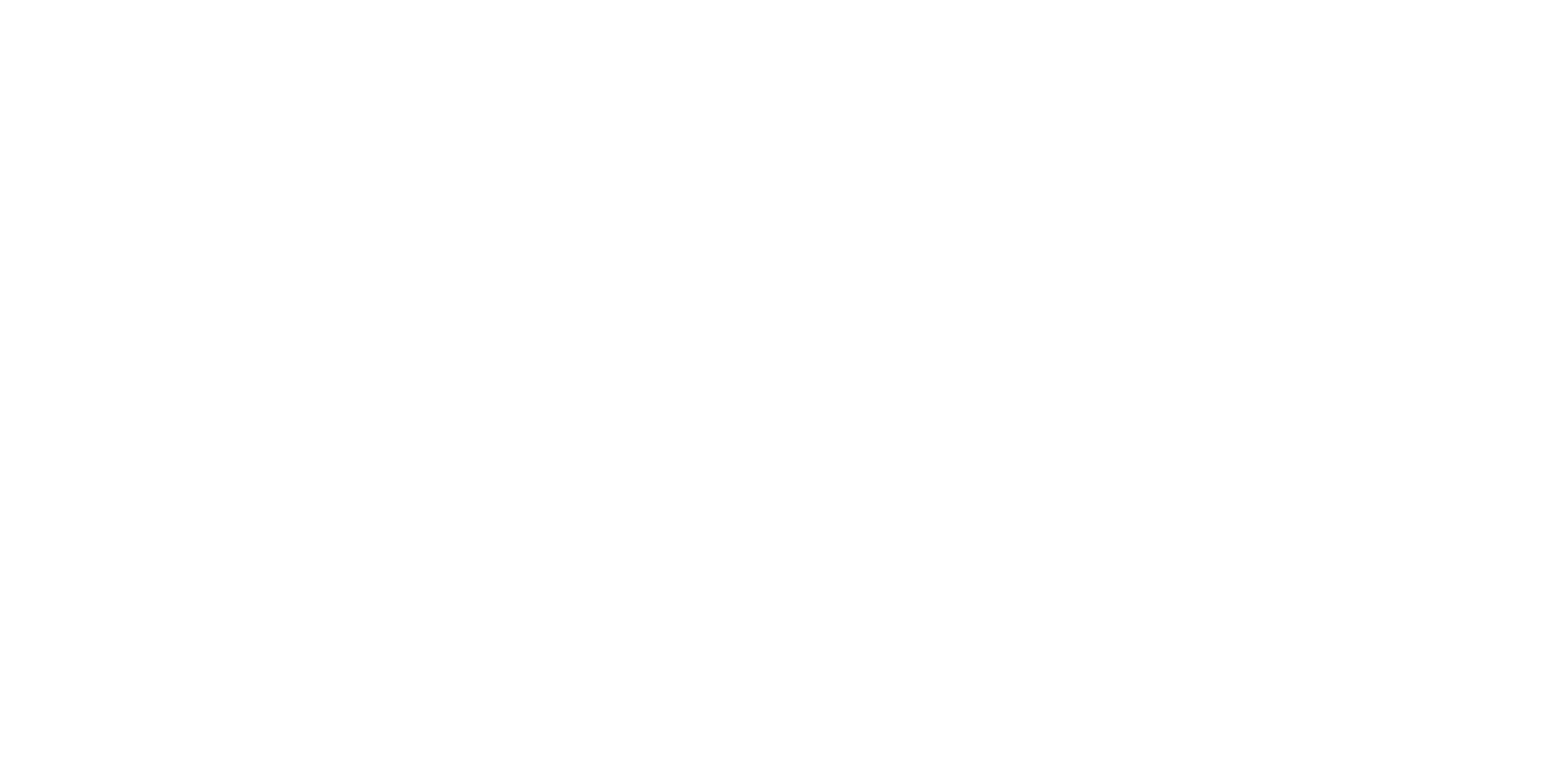 BioVelvet