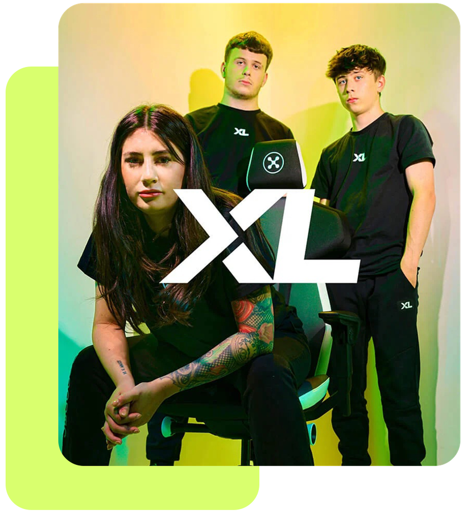 Product & Brand Launch