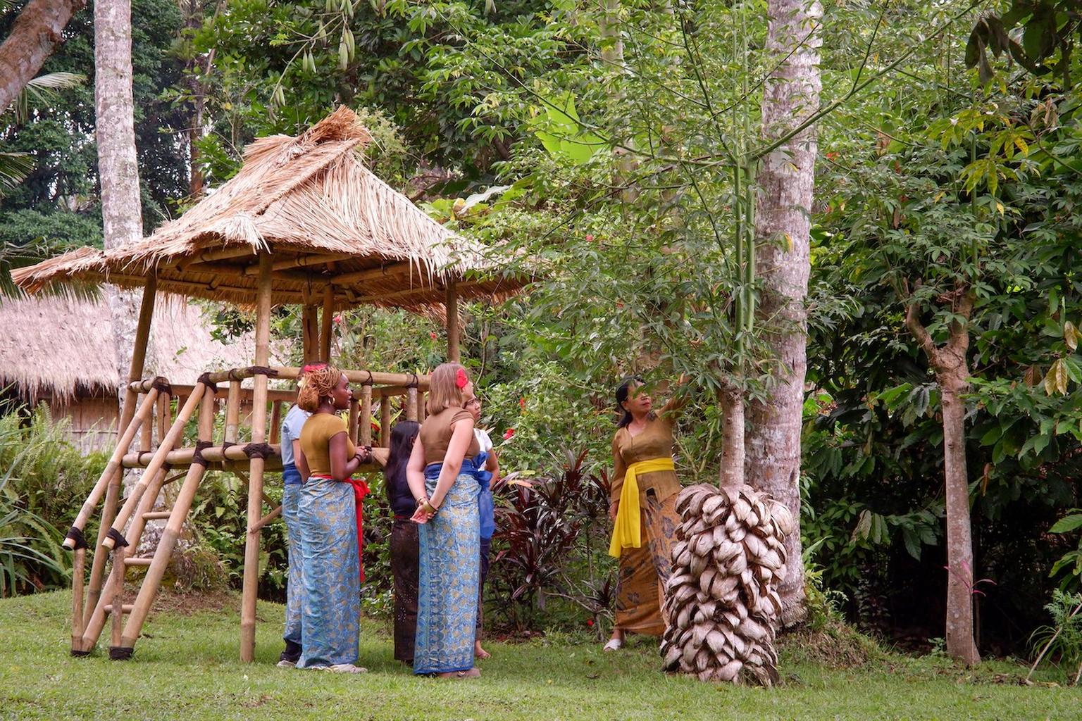 website image
