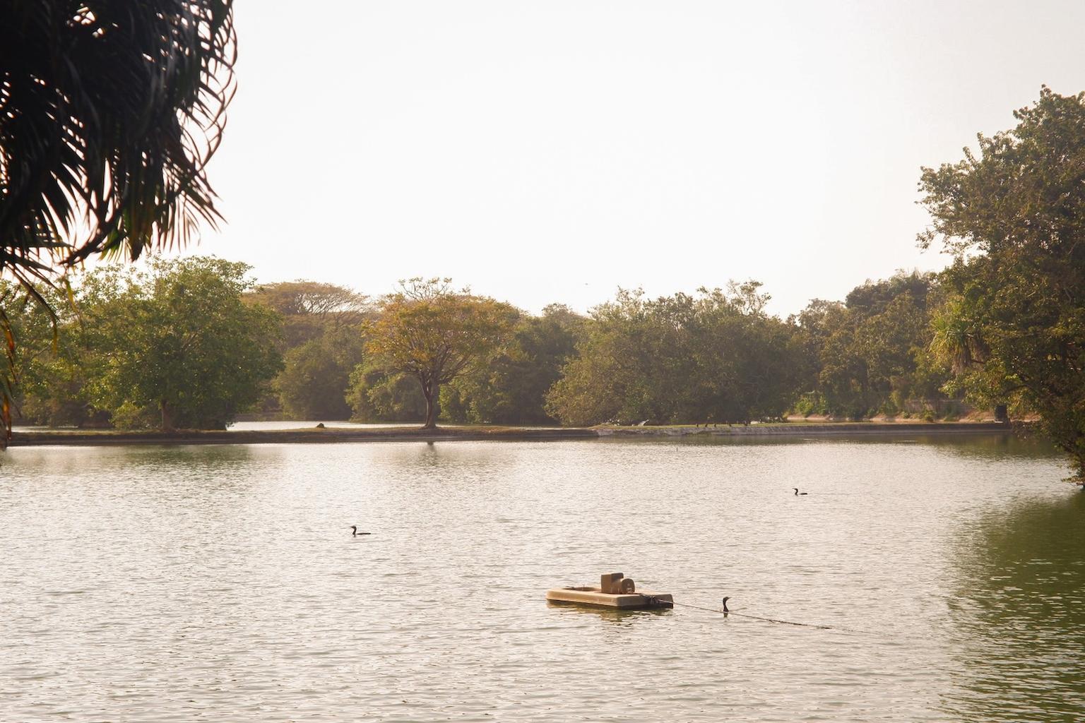 website image