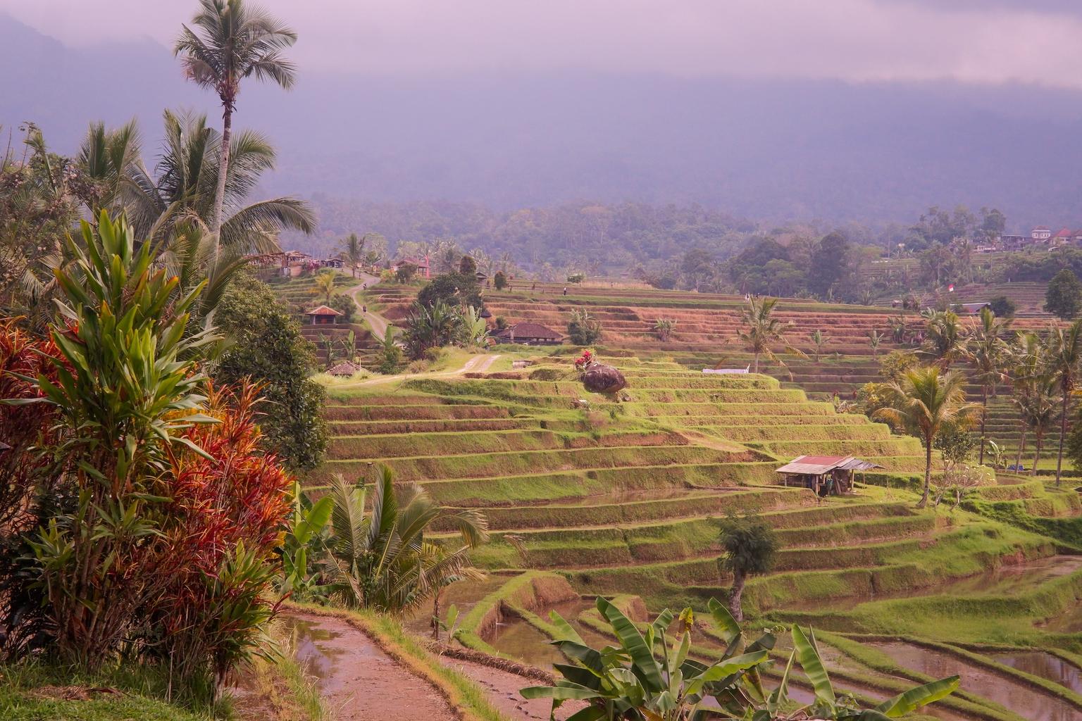 website image