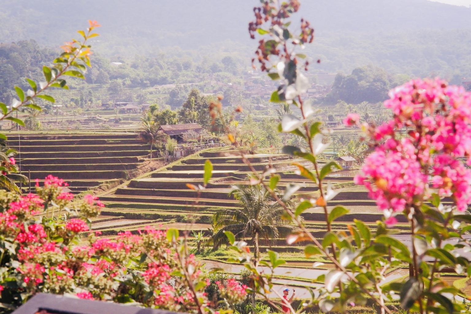 website image