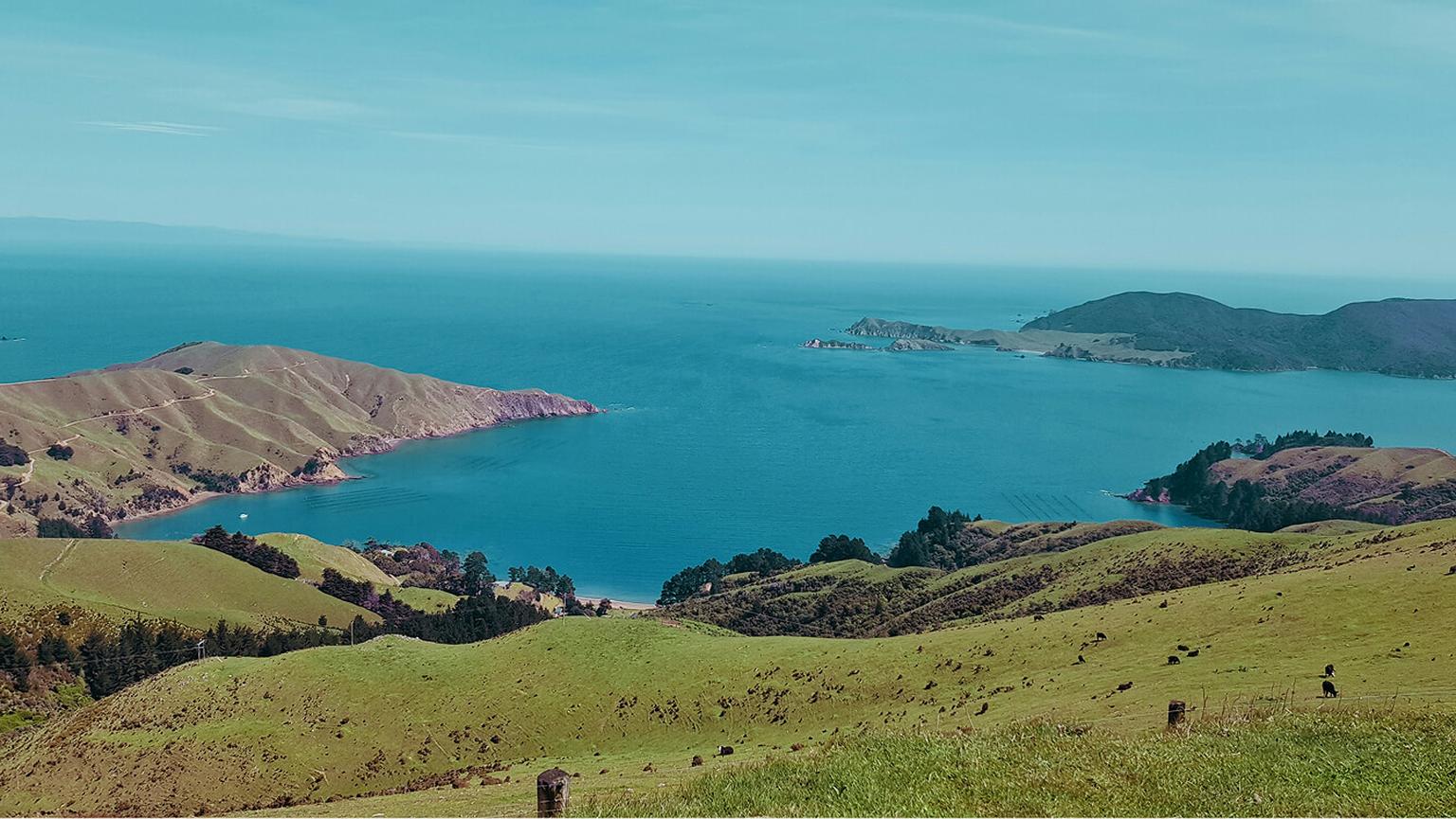 A scenic drive for intern in our biology research program