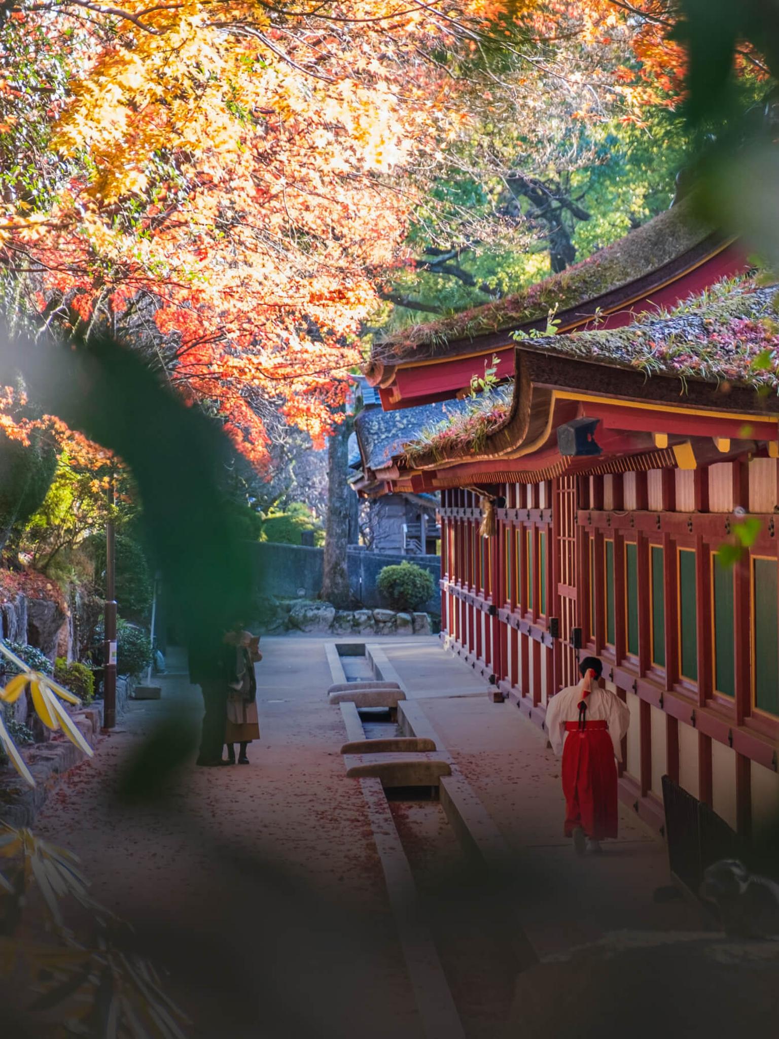 bg image //a.storyblok.com/f/69559/1350x1800/09b4789a10/japan-program-header-mobile.jpg