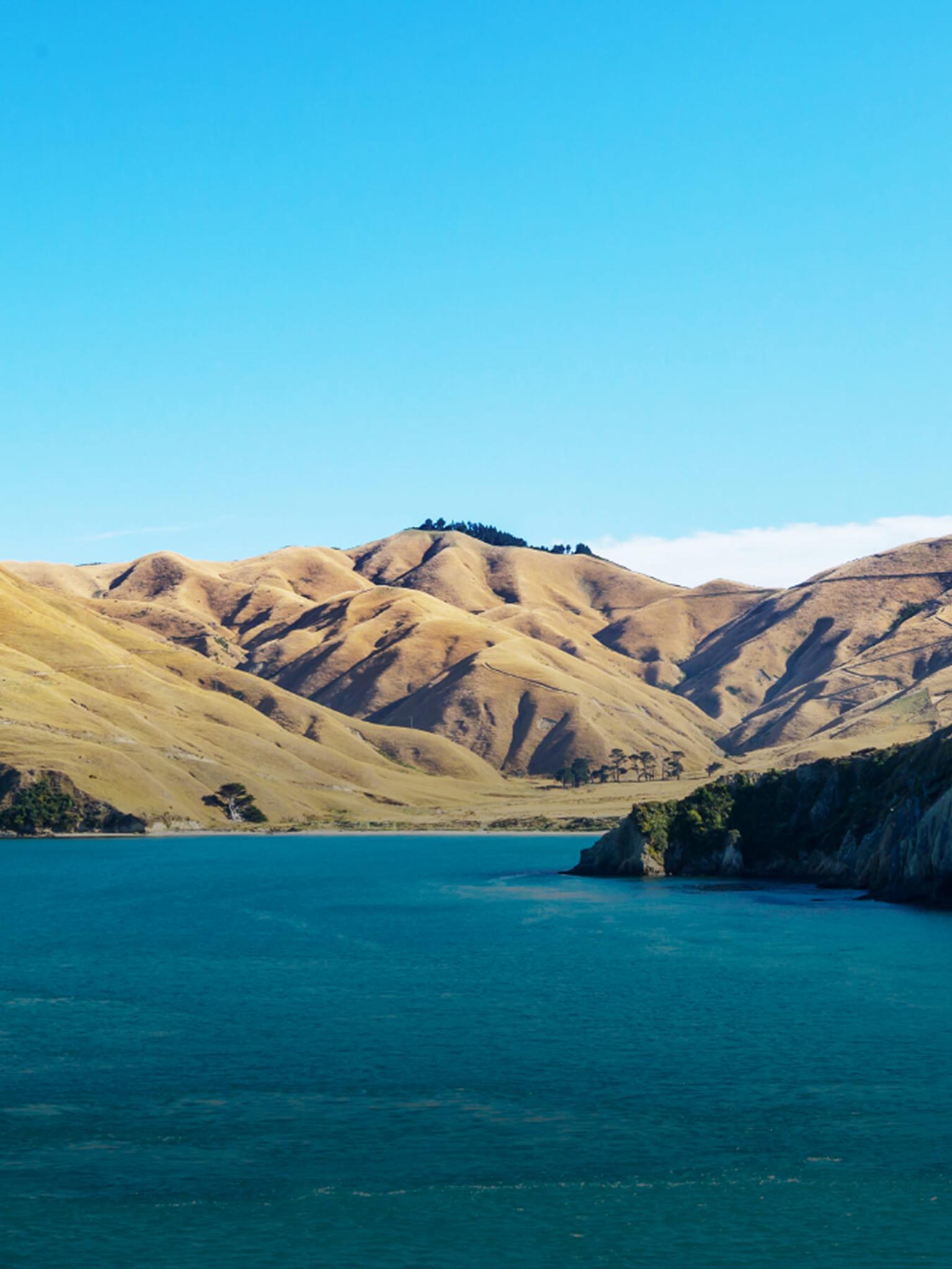 bg image //a.storyblok.com/f/69559/1350x1800/31e0f02f2d/new-zealand-cover-mobile.jpg