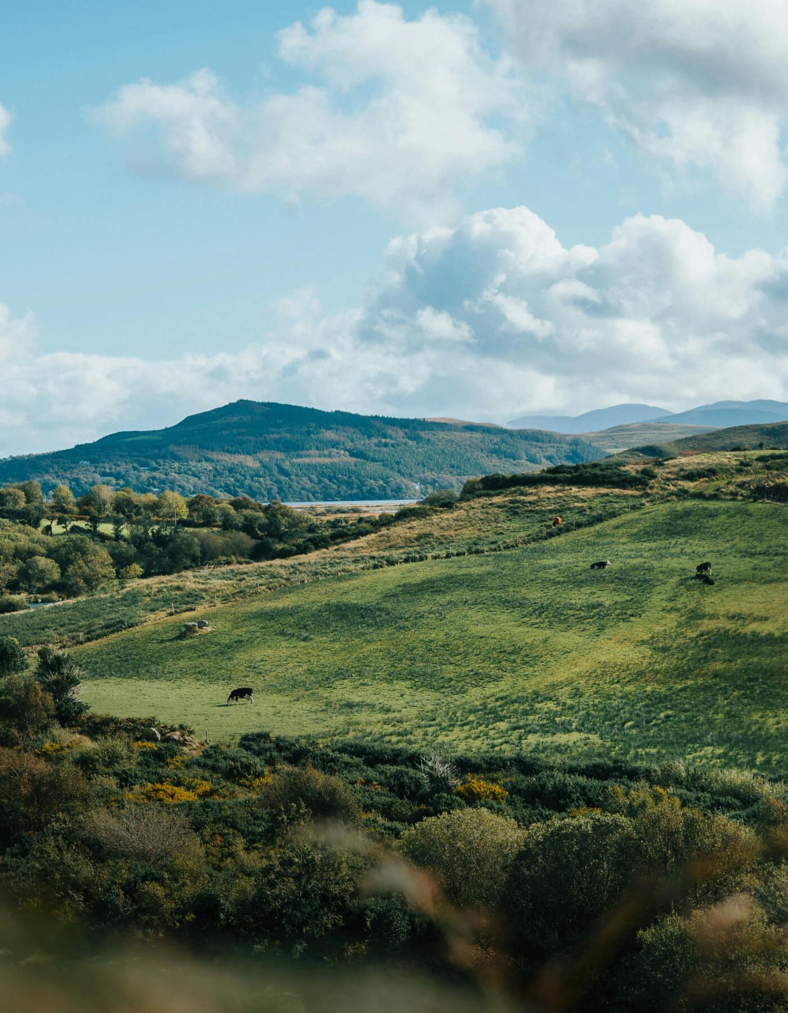 bg image //a.storyblok.com/f/69559/1400x1800/dd10be7cf0/ireland-high-school-exchange-cover-mobile.jpg