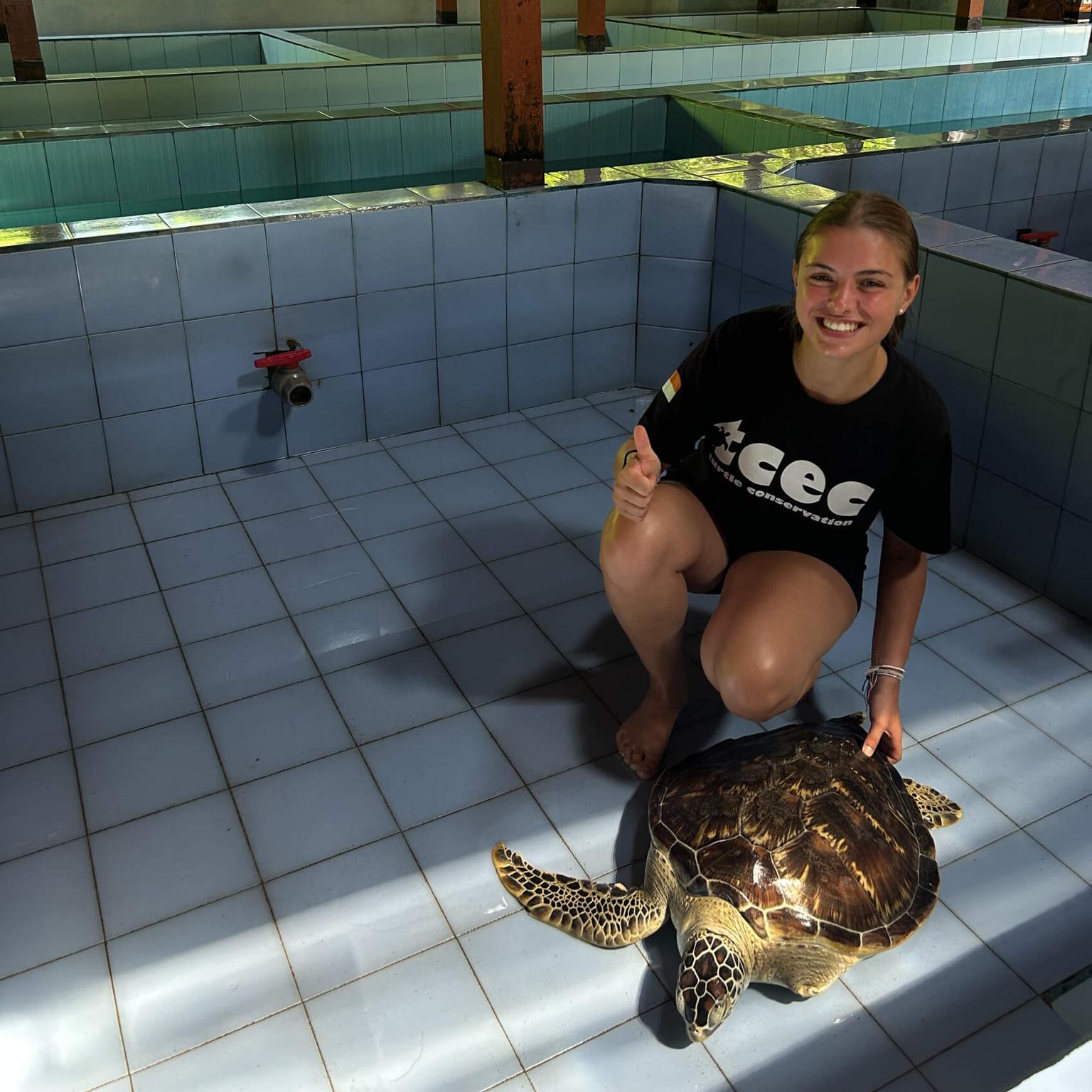 Spannende Arbeit im Schutzprojekt auf Bali