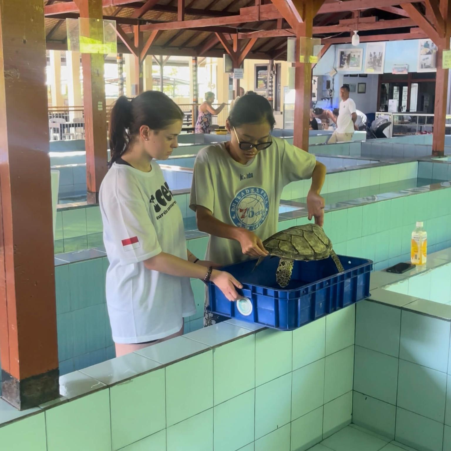 Freiwilligenarbeit in Bali Indonesien