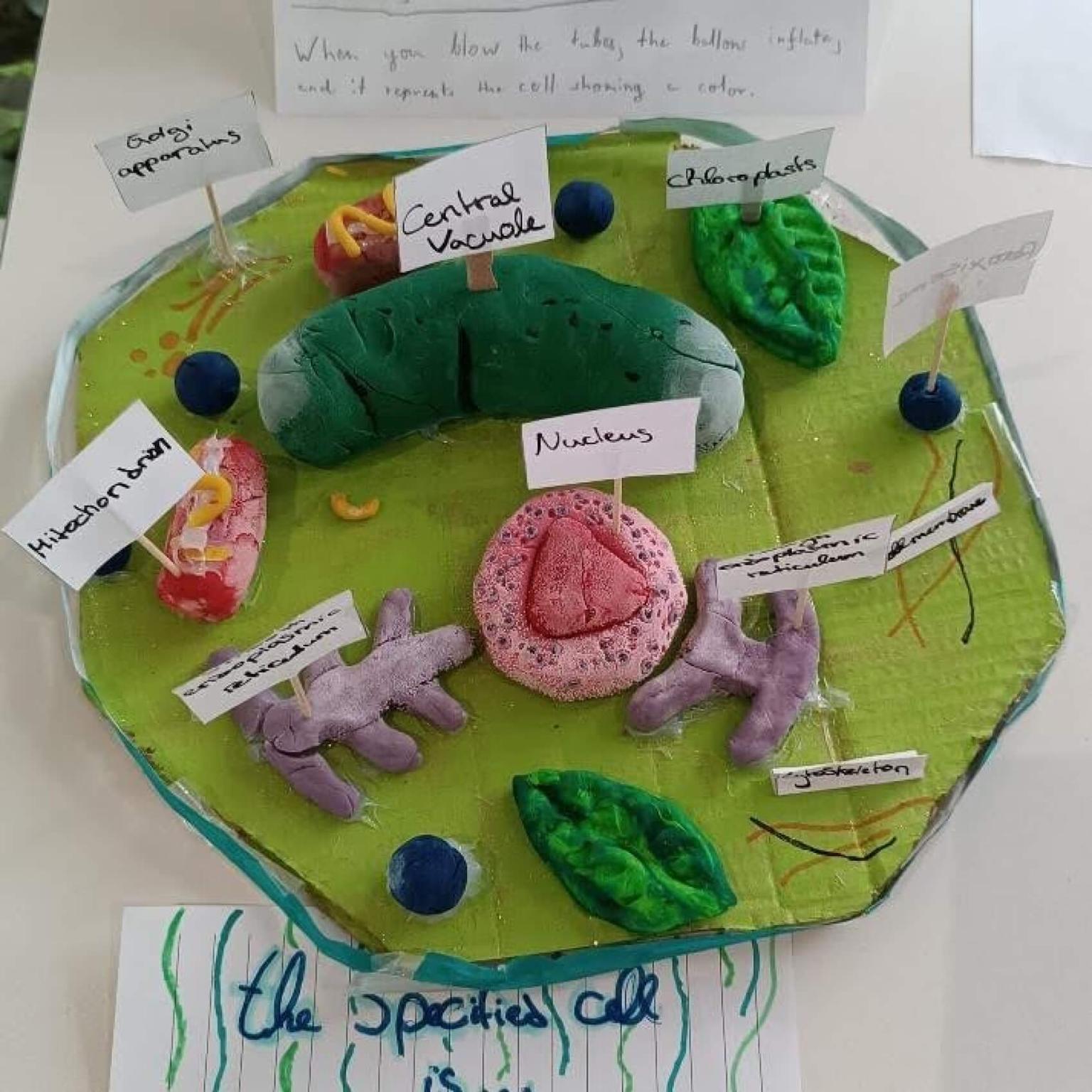 Sciene Project During Teaching Internship in Spain - Anna Explores an International School in Spain