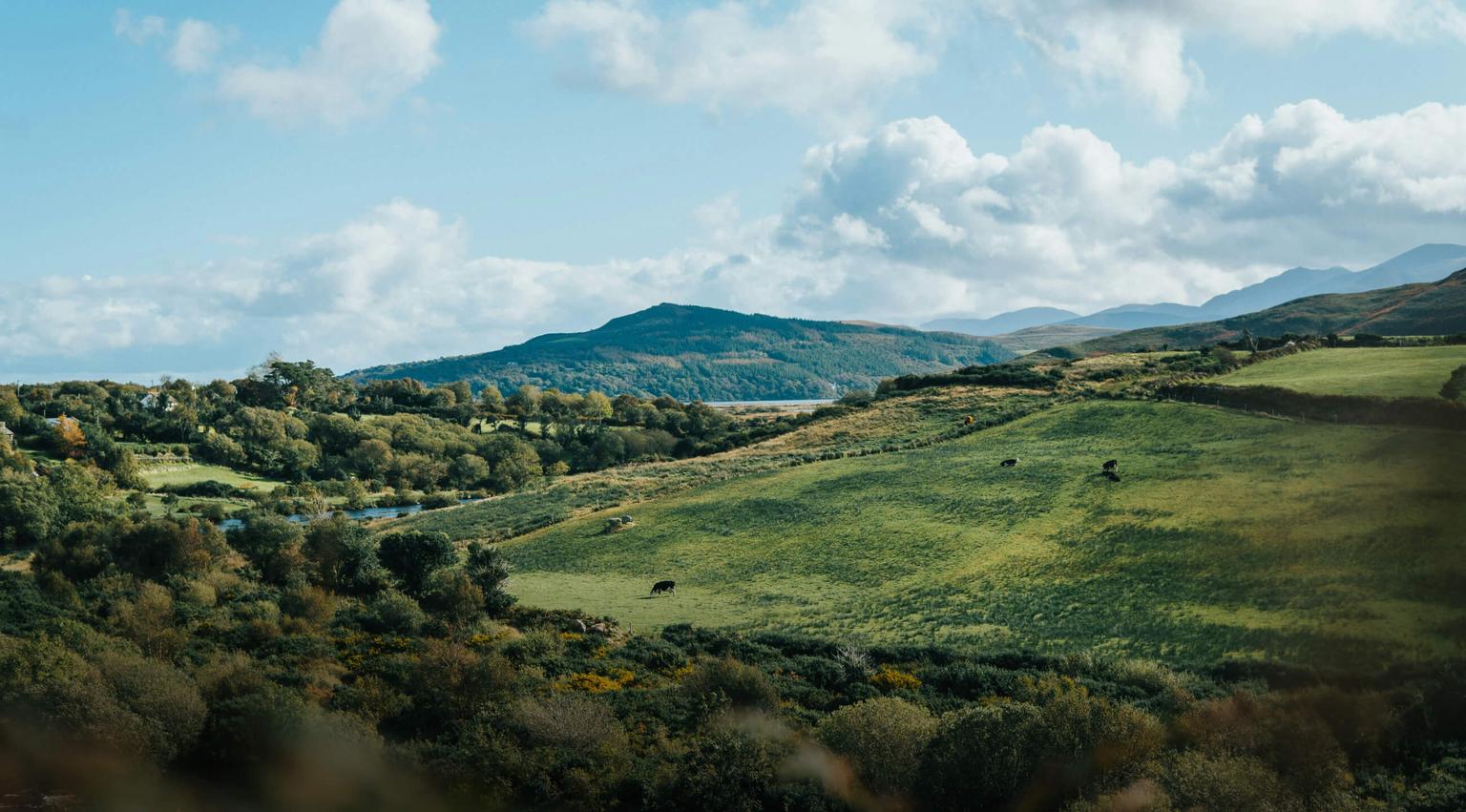 bg image //a.storyblok.com/f/69559/2600x1440/338e6c2740/ireland-high-school-exchange-cover.jpg