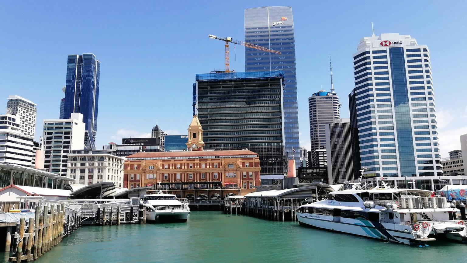 Aucklands skyline, the backdrop of our business development internships