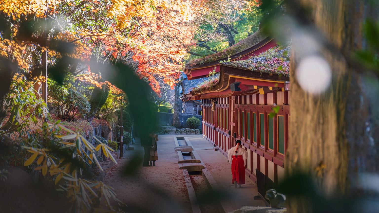 bg image //a.storyblok.com/f/69559/2880x1620/b6b5ad5308/japan-program-header.jpg