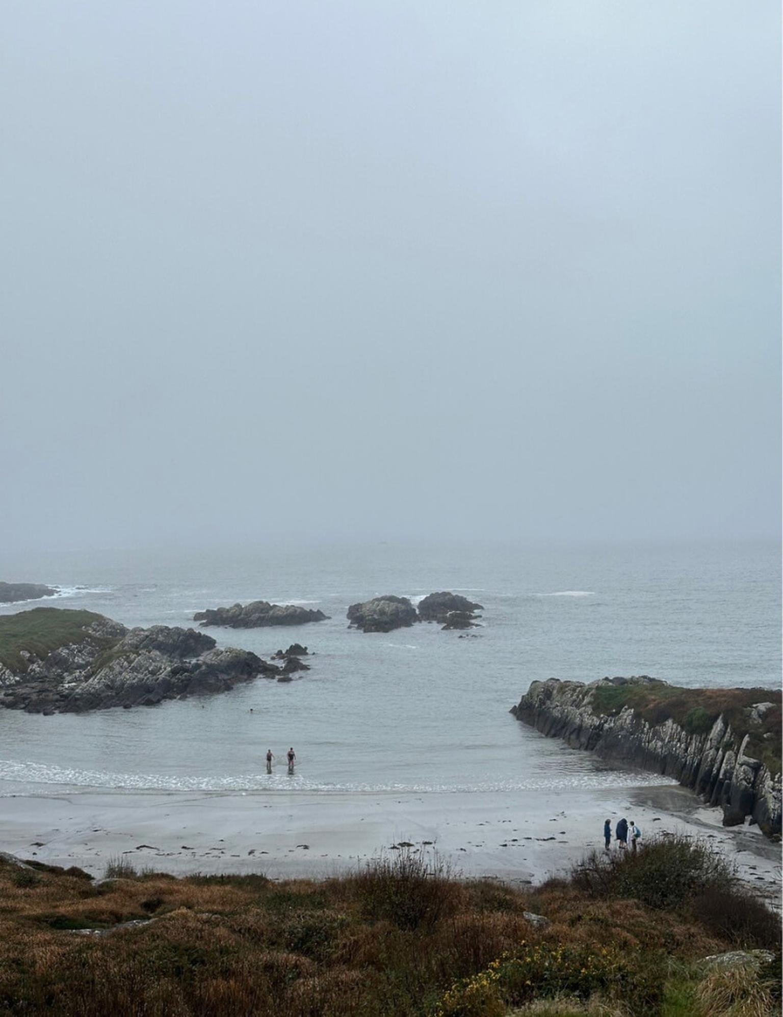 Natur pur an Irland's Küsten