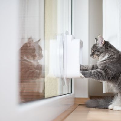 Handwerker ersetzt Ofen