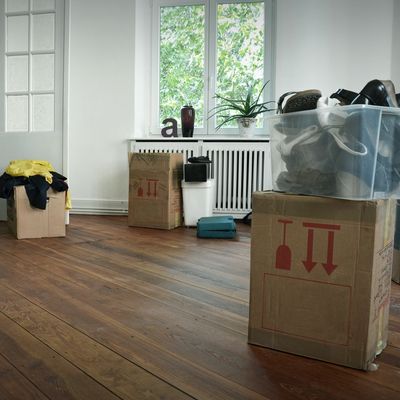 Entrümpelung professionell organisieren