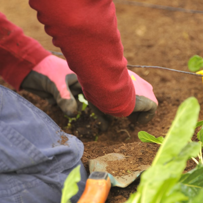 other gardening work