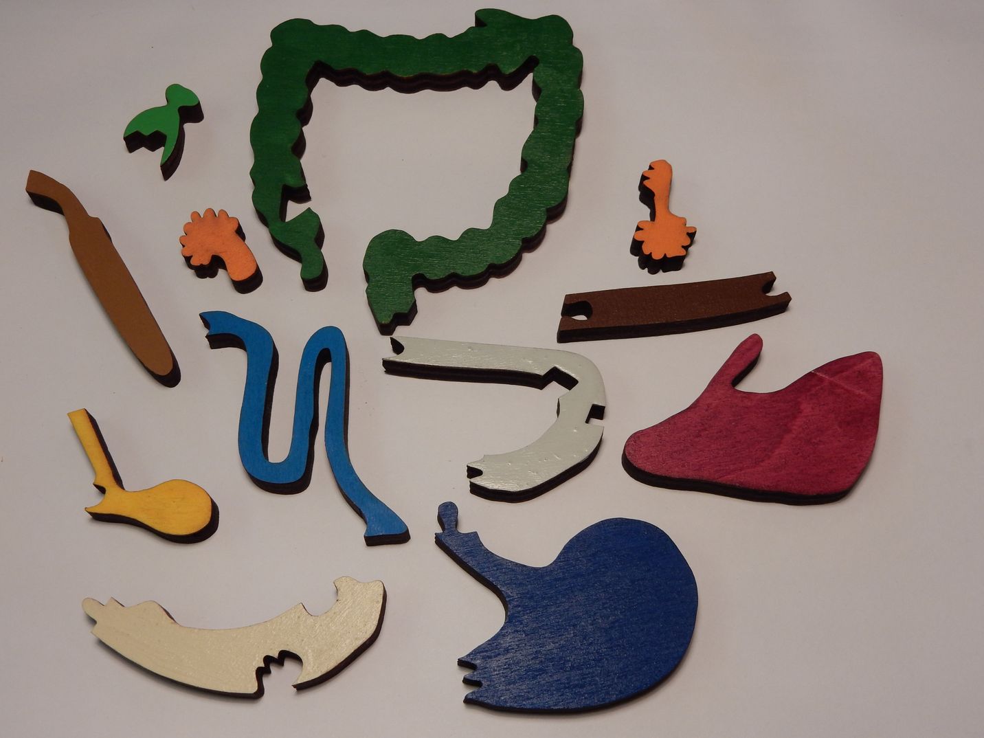 Das Verdauungs-Puzzle