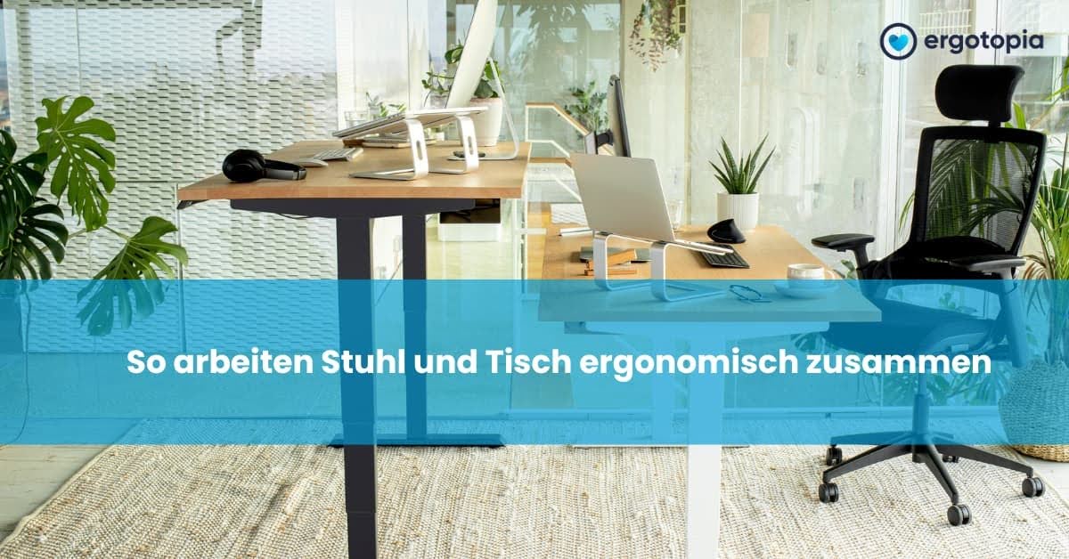 Zwei Holzschreibtische mit Laptop-Ständern und Bürostuhl in begrüntem, lichtdurchflutetem Büro.