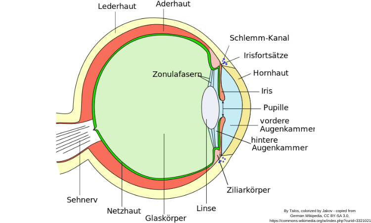 Augenschmerzen Ursach
