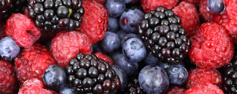 Krampfadern Prävention Ernährung