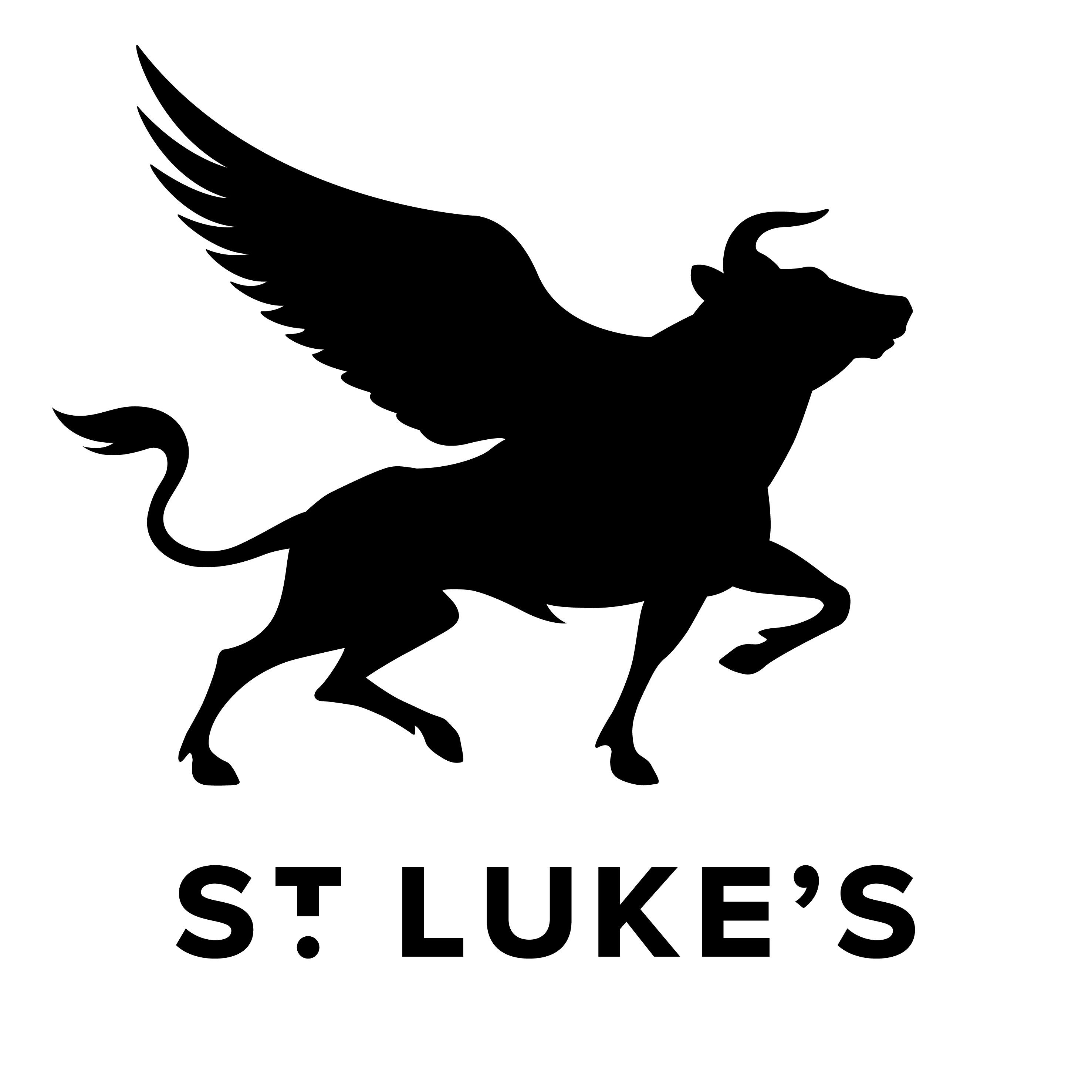 saint-lukes-logo