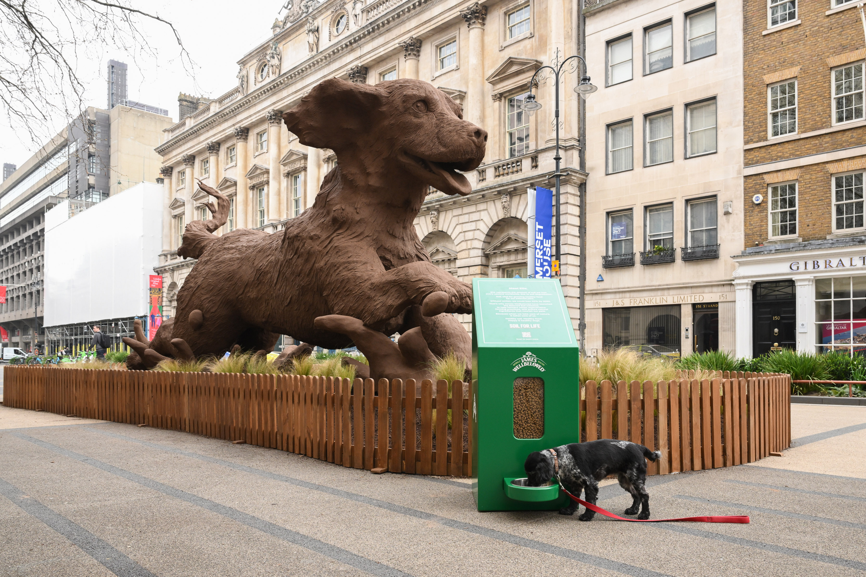 Giant Mucky Pup Sculpture Takes Over Somerset House