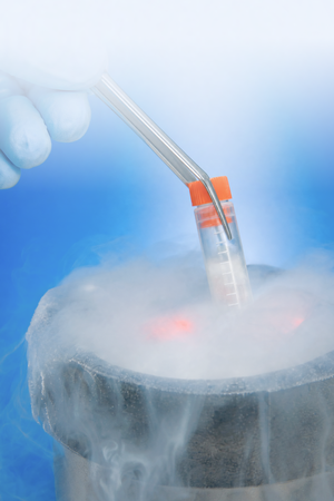 social freezing
