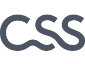CSS logo